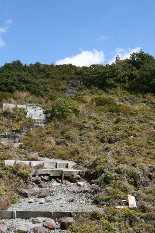 Nieuw-Zeeland 2011 - 0862